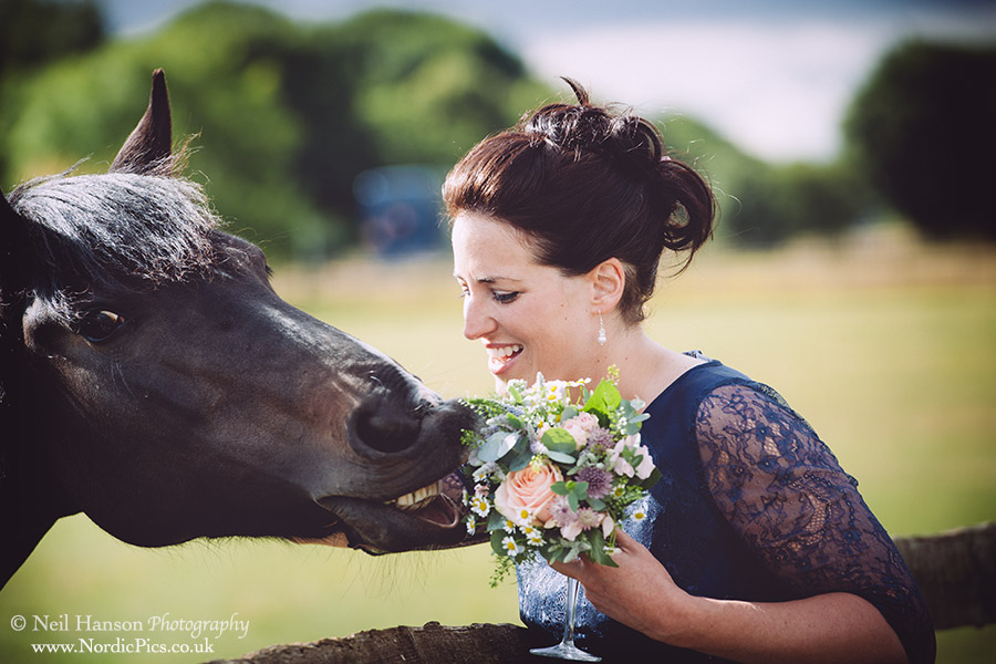 Horse and Bridesmaids Bouquet
