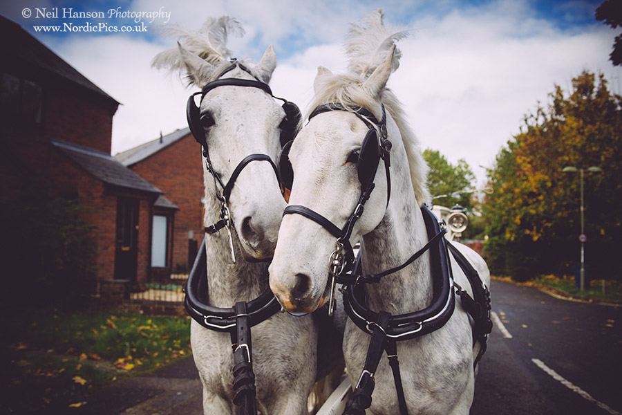 The Ostler horse drawn wedding transport