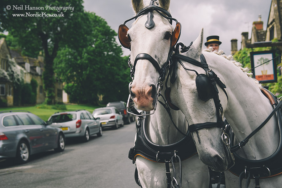 Wedding day Horse & carriage at The Bay Tree Hotel