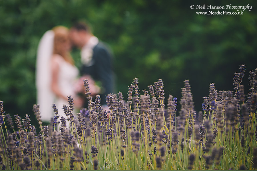 Bride & Groom portraits in Caswell House Gardens
