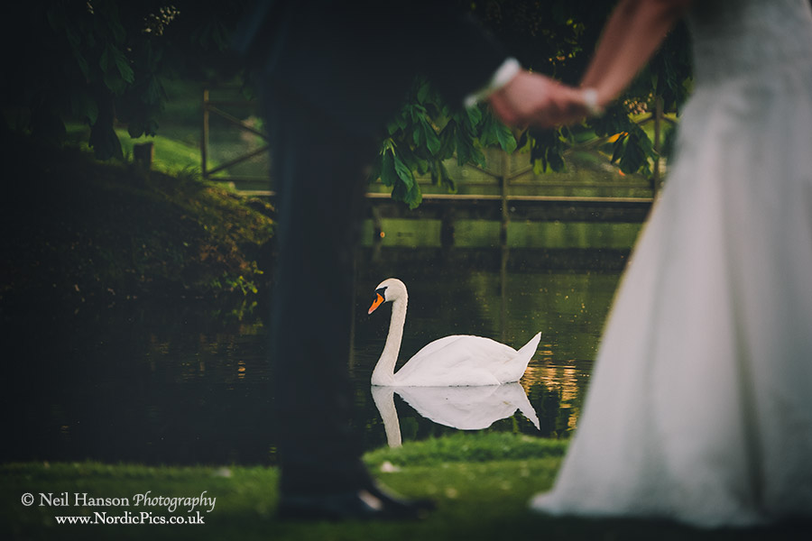 Bride and Groom and Swan at Ardington House
