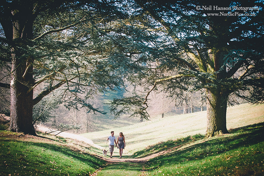 Countryside woodland walks for couples pre-wedding portraits with their dogs
