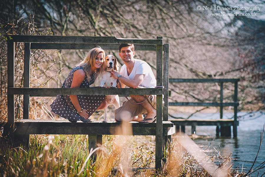 Engagement portrait session with pets and dogs