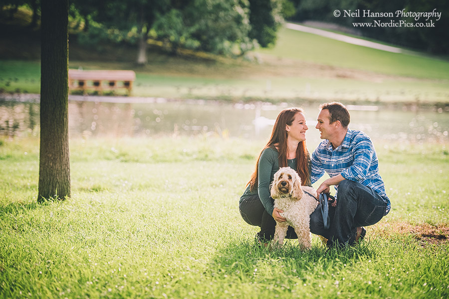Pre-wedding portraits with dogs