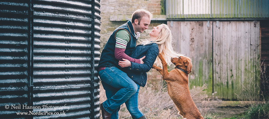 Pre-wedding portraits with pet dogs