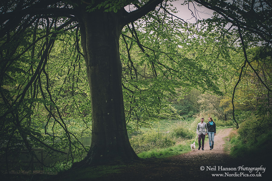 Oxfordshire Country walks for couples and Dog portraits