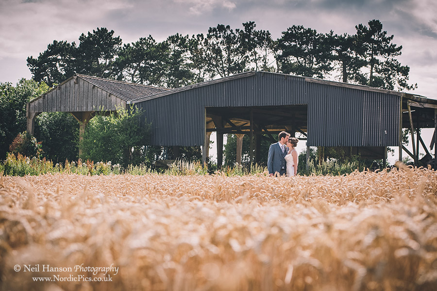 Bride and Groom in a field of Corn