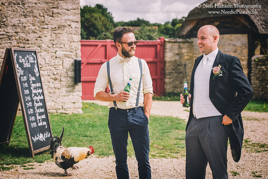 Wedding laughter with a chicken at Cogges Farm Museum