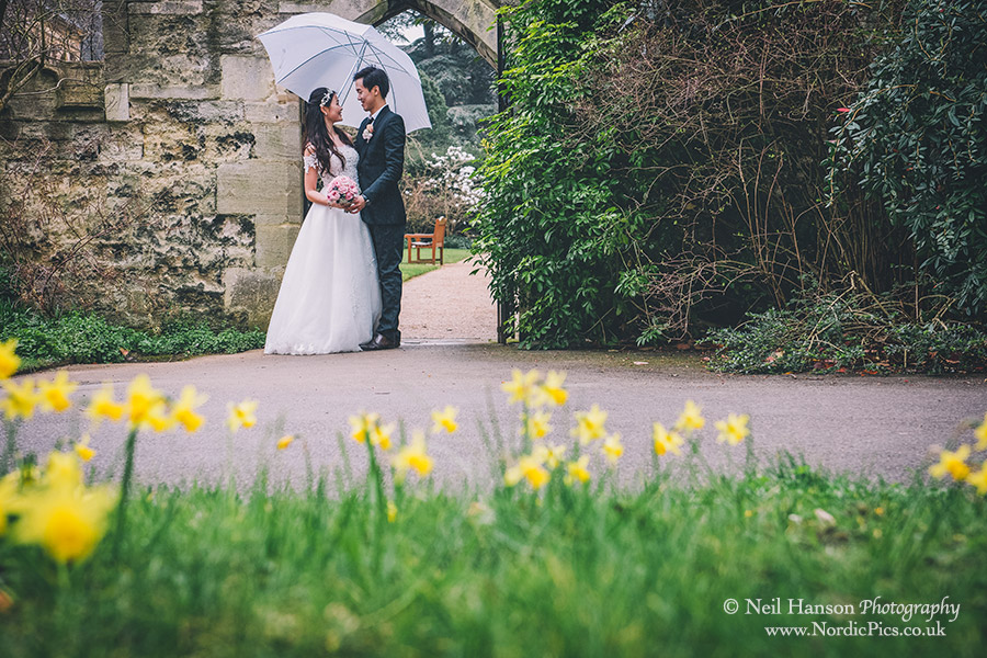 Bride and groom in the daffodils