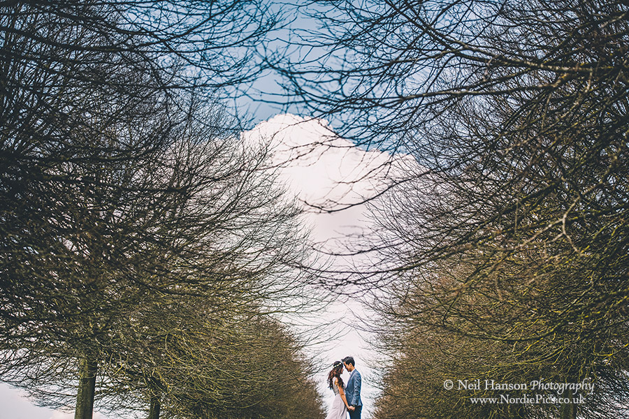 Bride and Groom in a row of Trees at Blenheim