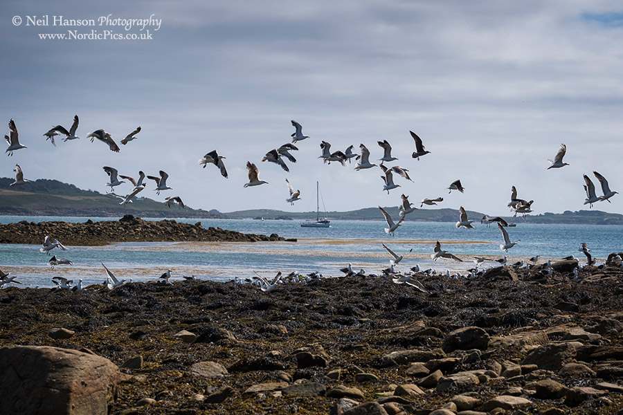 isles-of-scilly-travel-photography-56