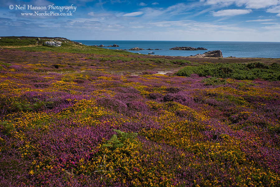 isles-of-scilly-travel-photography-63