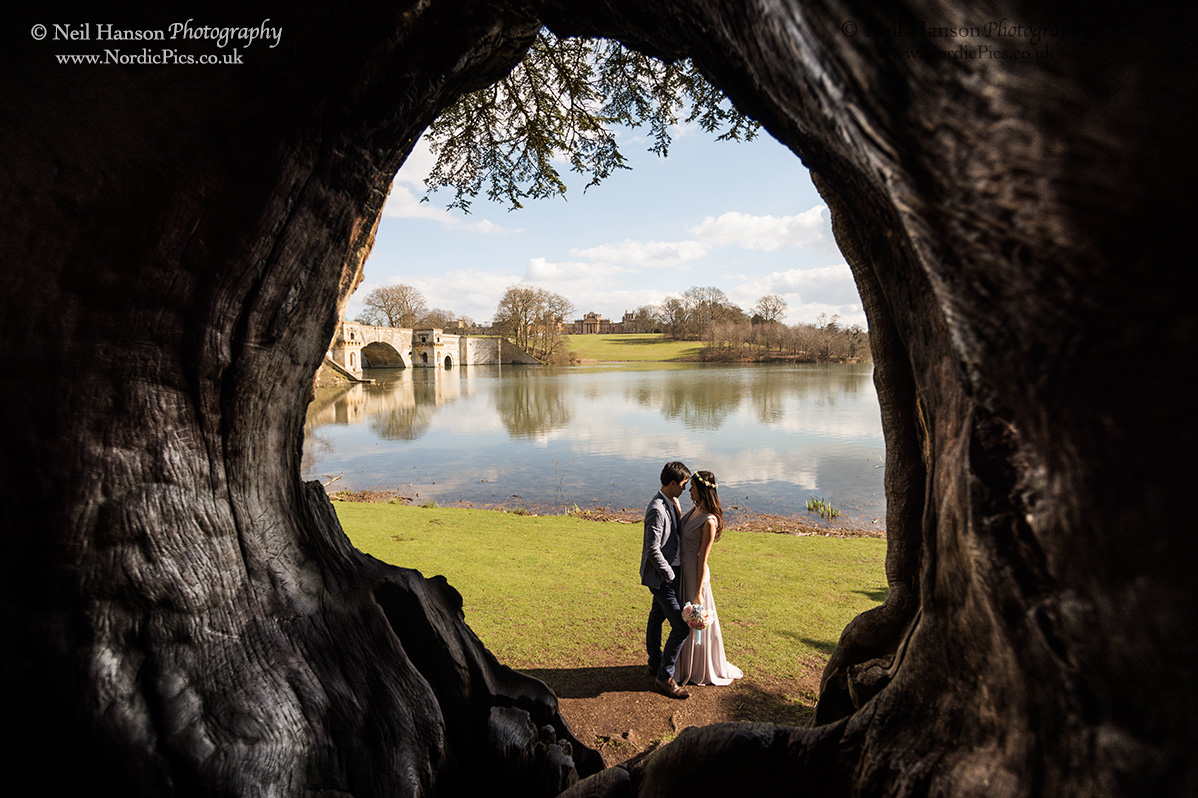 Harry Potter Tree at Blenheim on a Wedding Day