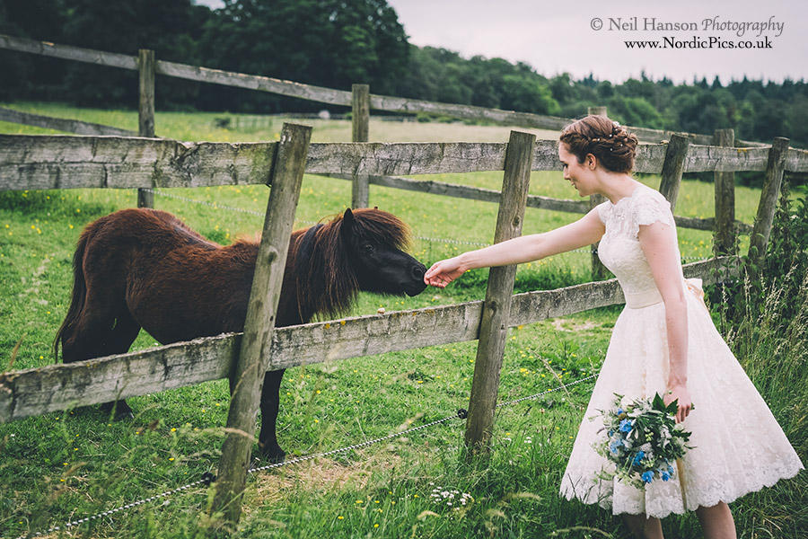 Bride with a pony at herons farm