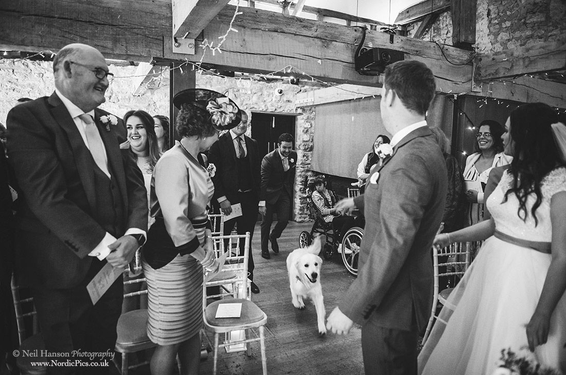 Malcolm the dog delivering the wedding rings